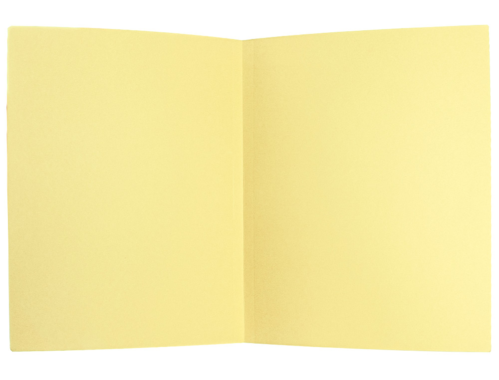 CLASSIFICADOR LIDERPAPEL DIN A4 AMARELO PASTEL 180GR