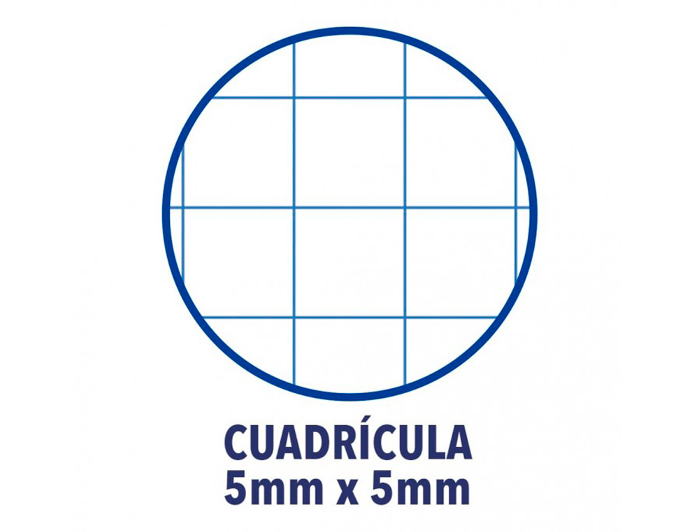 RECARGA COR 1 OXFORD DIN A4+ 80 FOLHAS 90 GR QUADRICULA 5 MM 4 FUROS COR VERMELHO