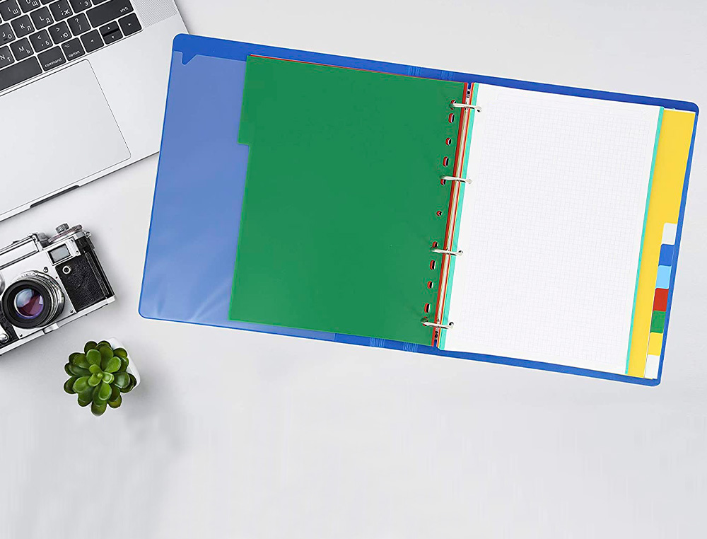 SEPARADOR LIDERPAPEL DE PLASTICO FOLIO NATURAL 10 SEPARADORES