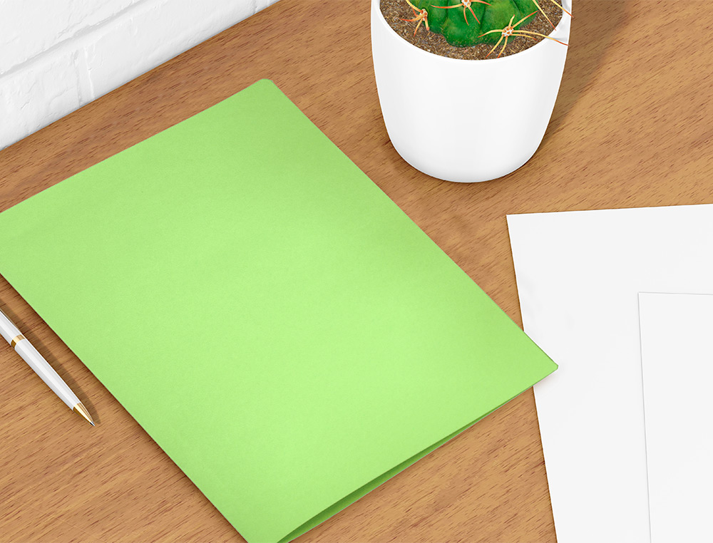 CLASSIFICADOR LIDERPAPEL EM CARTOLINA DE 180 GR DIN A4 VERDE INTENSO