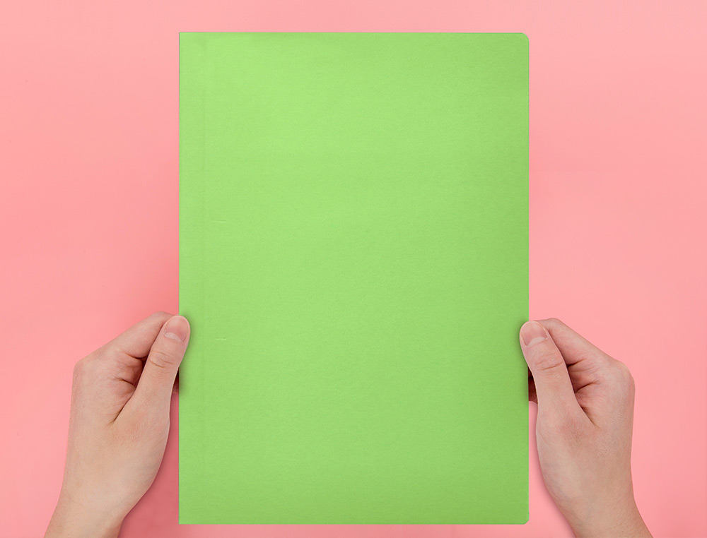 CLASSIFICADOR LIDERPAPEL EM CARTOLINA DE 180 GR DIN A4 VERDE INTENSO
