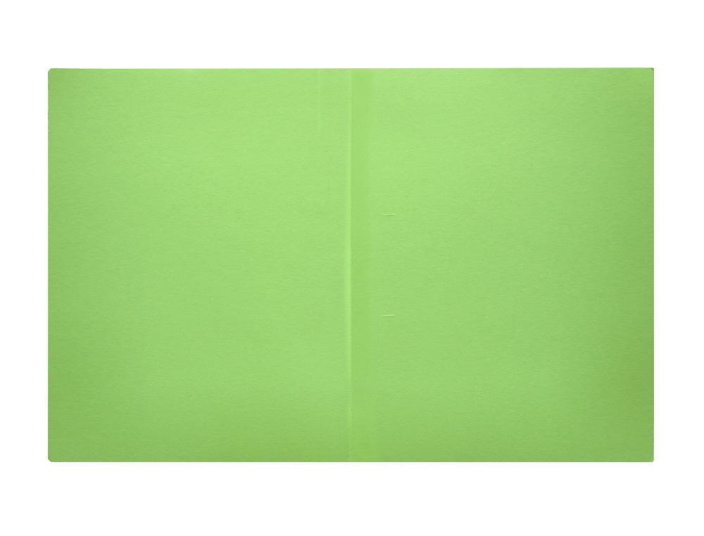 CLASSIFICADOR LIDERPAPEL EM CARTOLINA DE 180 GR DIN A4 VERDE INTENSO