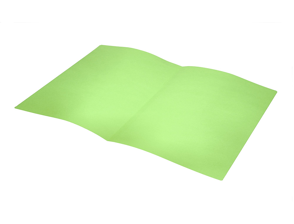 CLASSIFICADOR LIDERPAPEL EM CARTOLINA DE 180 GR DIN A4 VERDE INTENSO