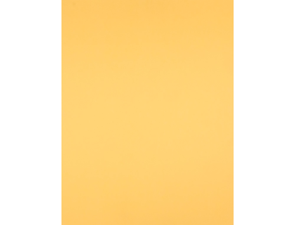 CARTOLINA LIDERPAPEL 50X65 CM 240 GR OURO
