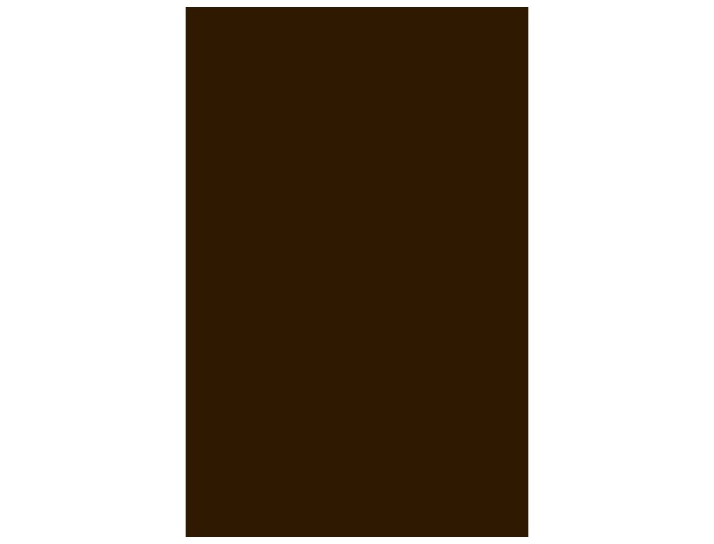 CARTOLINA GUARRO DIN A3 CASTANHO CHOCOLATE 185 GR PACK DE 50 FOLHAS