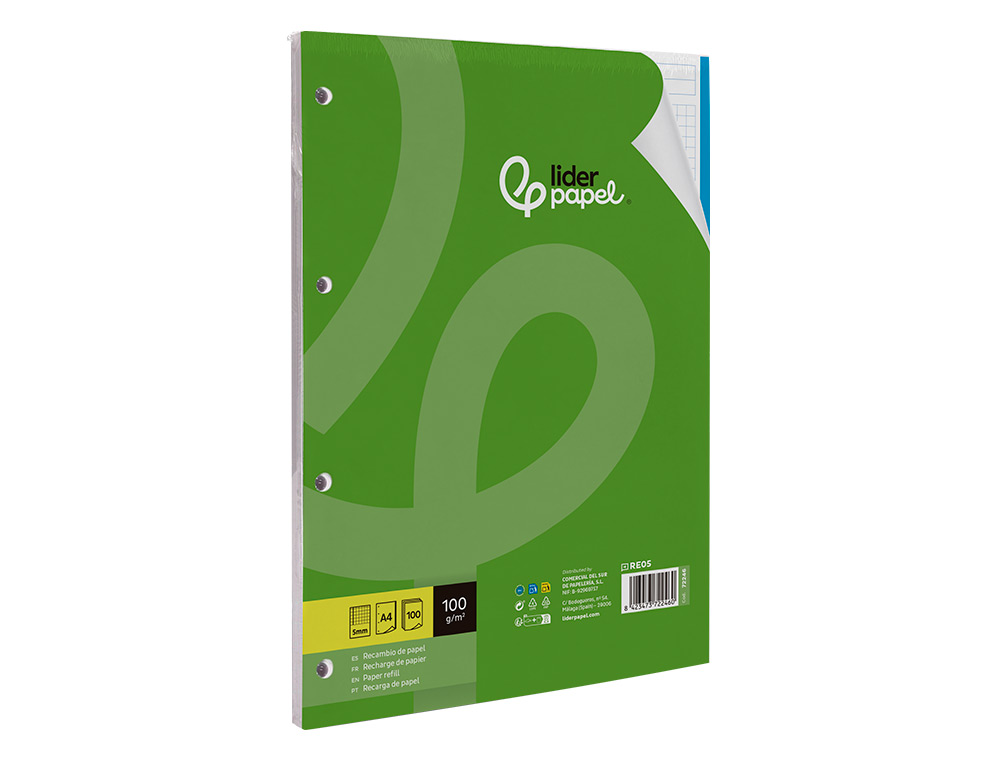 RECARGA LIDERPAPEL DIN A4 100 F 100 GR QUADRICULA5 MM SEM MARGEN 4 FUROS BANDAS DE 5 CORES