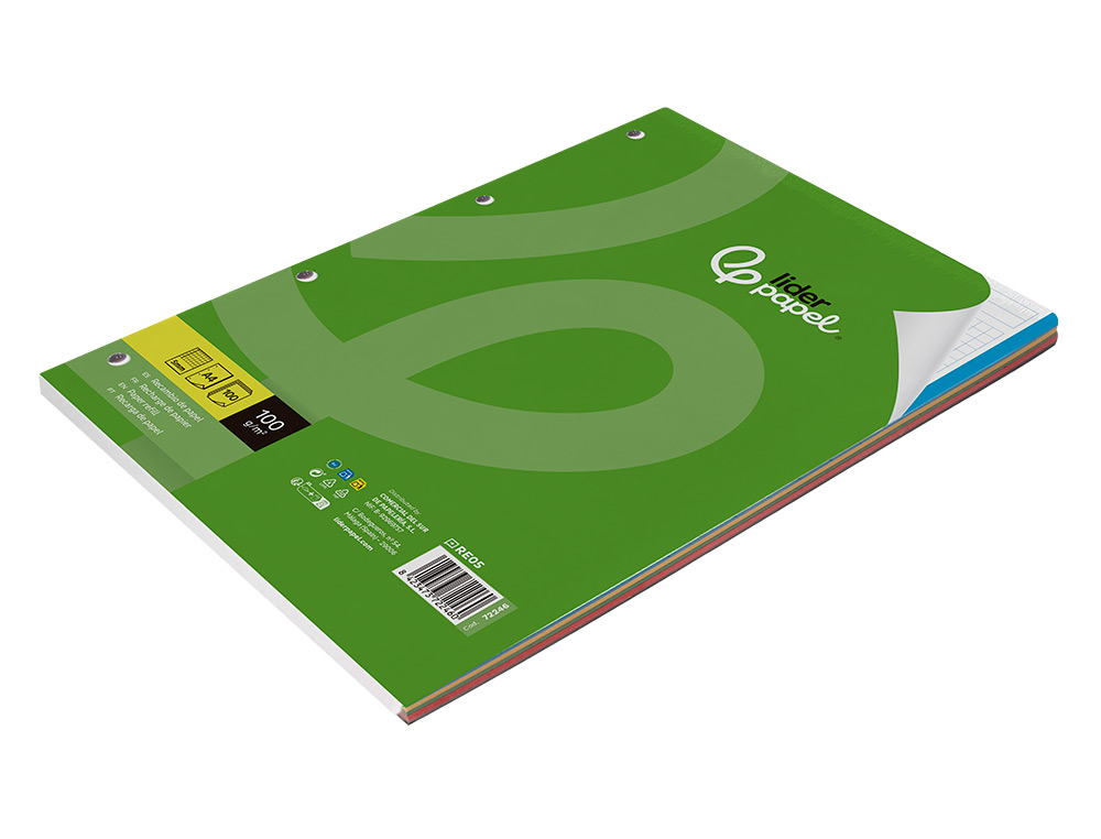 RECARGA LIDERPAPEL DIN A4 100 F 100 GR QUADRICULA5 MM SEM MARGEN 4 FUROS BANDAS DE 5 CORES