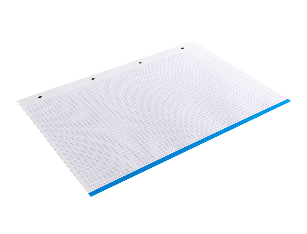 RECARGA LIDERPAPEL DIN A4 100 F 100 GR QUADRICULA5 MM SEM MARGEN 4 FUROS BANDAS DE 5 CORES