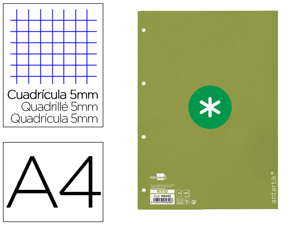 RECARGA A4 ANTARTIK 80 FOLHAS 90G/M2 QUADRICULA 5MM 4 FUROS 1 BANDA COM MOLDURA COR MENTA