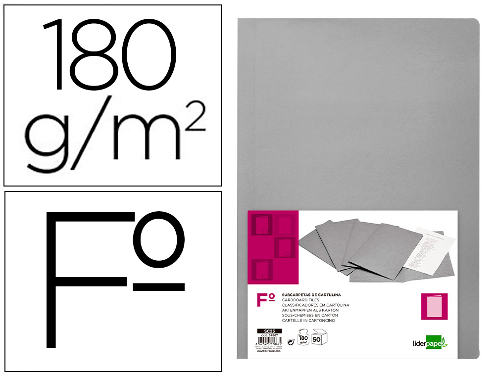 CLASSIFICADORES LIDERPAPEL DE CARTOLINA FOLIO CINZA INTENSO 180G/M2