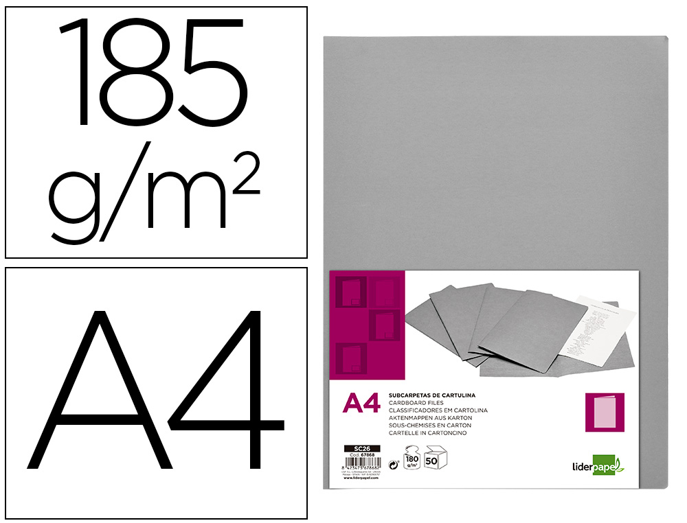 CLASSIFICADOR LIDERPAPEL EM CARTOLINA DE 180 GR DIN A4 CINZA INTENSO